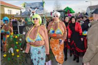 153. Lichtenw�rther Faschingsumzug, 07.02.2016