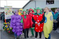 153. Lichtenw�rther Faschingsumzug, 07.02.2016