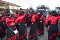 153. Lichtenw�rther Faschingsumzug, 07.02.2016