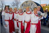 153. Lichtenw�rther Faschingsumzug, 07.02.2016