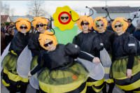 153. Lichtenw�rther Faschingsumzug, 07.02.2016