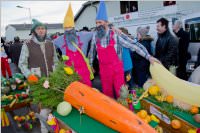 153. Lichtenw�rther Faschingsumzug, 07.02.2016