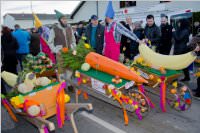 153. Lichtenw�rther Faschingsumzug, 07.02.2016