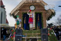 153. Lichtenw�rther Faschingsumzug, 07.02.2016