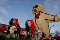 153. Lichtenw�rther Faschingsumzug, 07.02.2016