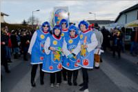 153. Lichtenw�rther Faschingsumzug, 07.02.2016