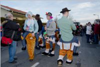 153. Lichtenw�rther Faschingsumzug, 07.02.2016