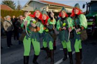 153. Lichtenw�rther Faschingsumzug, 07.02.2016