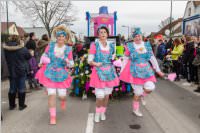 154. Lichtenwrther Faschingsumzug, 26.02.2017