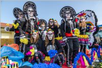 155. Lichtenw�rther Faschingsumzug, 11.02.2018