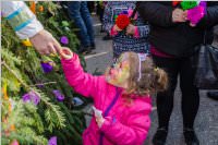 155. Lichtenw�rther Faschingsumzug, 11.02.2018