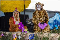 155. Lichtenw�rther Faschingsumzug, 11.02.2018