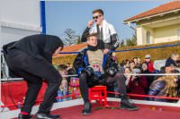 155. Lichtenw�rther Faschingsumzug, 11.02.2018