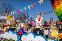 155. Lichtenw�rther Faschingsumzug, 11.02.2018