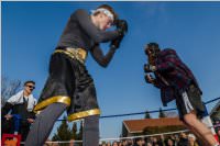 155. Lichtenw�rther Faschingsumzug, 11.02.2018