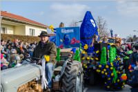 155. Lichtenw�rther Faschingsumzug, 11.02.2018