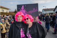 155. Lichtenw�rther Faschingsumzug, 11.02.2018