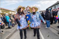 155. Lichtenw�rther Faschingsumzug, 11.02.2018