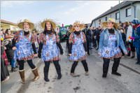 155. Lichtenw�rther Faschingsumzug, 11.02.2018