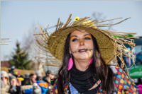 155. Lichtenw�rther Faschingsumzug, 11.02.2018