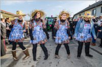 155. Lichtenw�rther Faschingsumzug, 11.02.2018