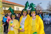 155. Lichtenw�rther Faschingsumzug, 11.02.2018