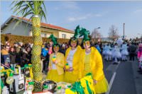 155. Lichtenw�rther Faschingsumzug, 11.02.2018