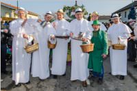 155. Lichtenw�rther Faschingsumzug, 11.02.2018