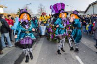 155. Lichtenw�rther Faschingsumzug, 11.02.2018