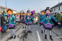 155. Lichtenw�rther Faschingsumzug, 11.02.2018