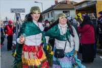 155. Lichtenw�rther Faschingsumzug, 11.02.2018