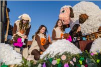 155. Lichtenw�rther Faschingsumzug, 11.02.2018