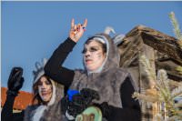 155. Lichtenw�rther Faschingsumzug, 11.02.2018