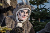 155. Lichtenw�rther Faschingsumzug, 11.02.2018