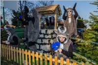 155. Lichtenw�rther Faschingsumzug, 11.02.2018