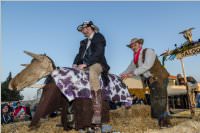 155. Lichtenw�rther Faschingsumzug, 11.02.2018