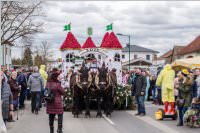 157. Lichtenw�rther Faschingsumzug, 23.02.2020