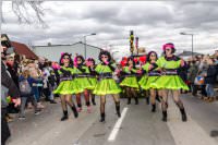 157. Lichtenw�rther Faschingsumzug, 23.02.2020