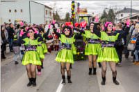 157. Lichtenw�rther Faschingsumzug, 23.02.2020