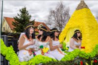 157. Lichtenw�rther Faschingsumzug, 23.02.2020
