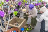 161. Lichtenwörther Faschingsumzug, 15.02.2026