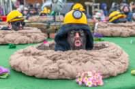 161. Lichtenwörther Faschingsumzug, 15.02.2026