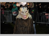 6. Lichtenwrther Rauhnachts- und Perchtenlauf, 05.01.2014