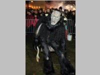 6. Lichtenwrther Rauhnachts- und Perchtenlauf, 05.01.2014