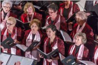 Adventkonzert Singkreis Steinbrunn, 10.12.2016