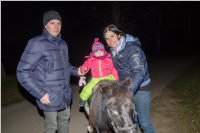 Adventmarkt am Neufelder See, 03. + 04.12.2016