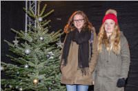 Adventmarkt am Neufelder See, 03. + 04.12.2016