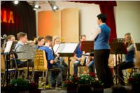 AMV Fr�hlingskonzerte, 21. + 22.03.2015