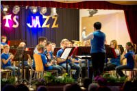 AMV Fr�hlingskonzerte, 12. + 13.03.2016