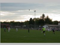 ASV Neufeld feiert 90 Jahre, 14. - 16.06.2013